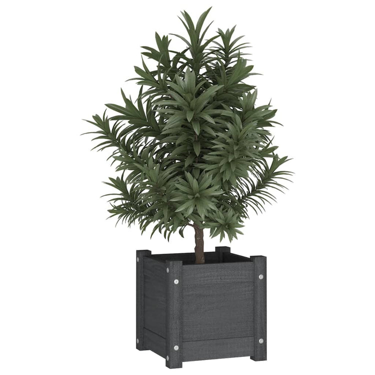 Boîte de planification Vidaxl 31x31x31 cm Green de pin solide