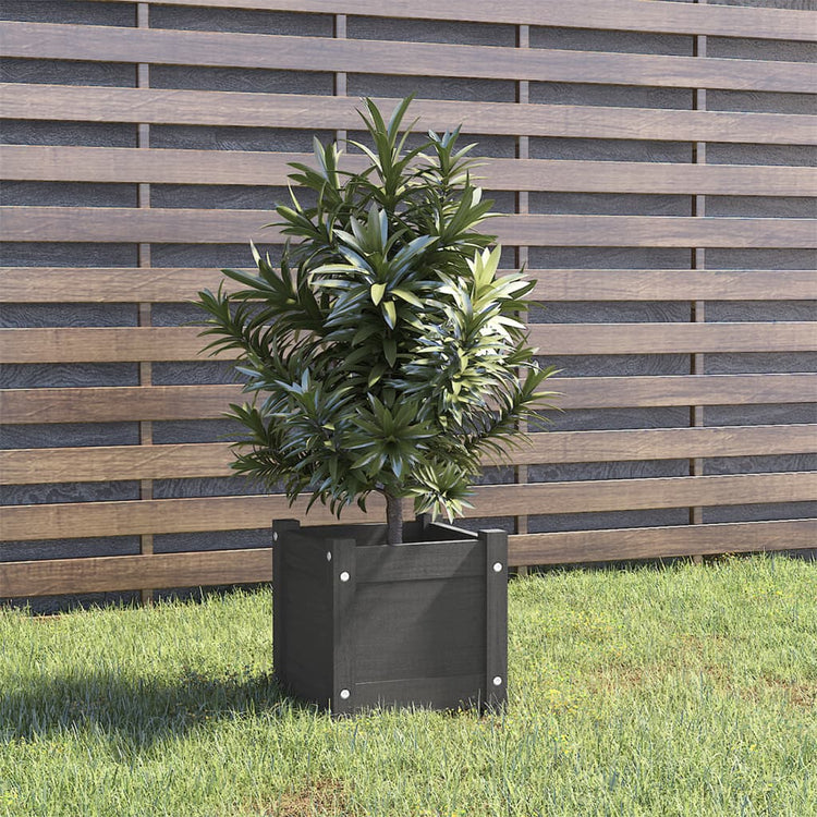 Boîte de planification Vidaxl 31x31x31 cm Green de pin solide