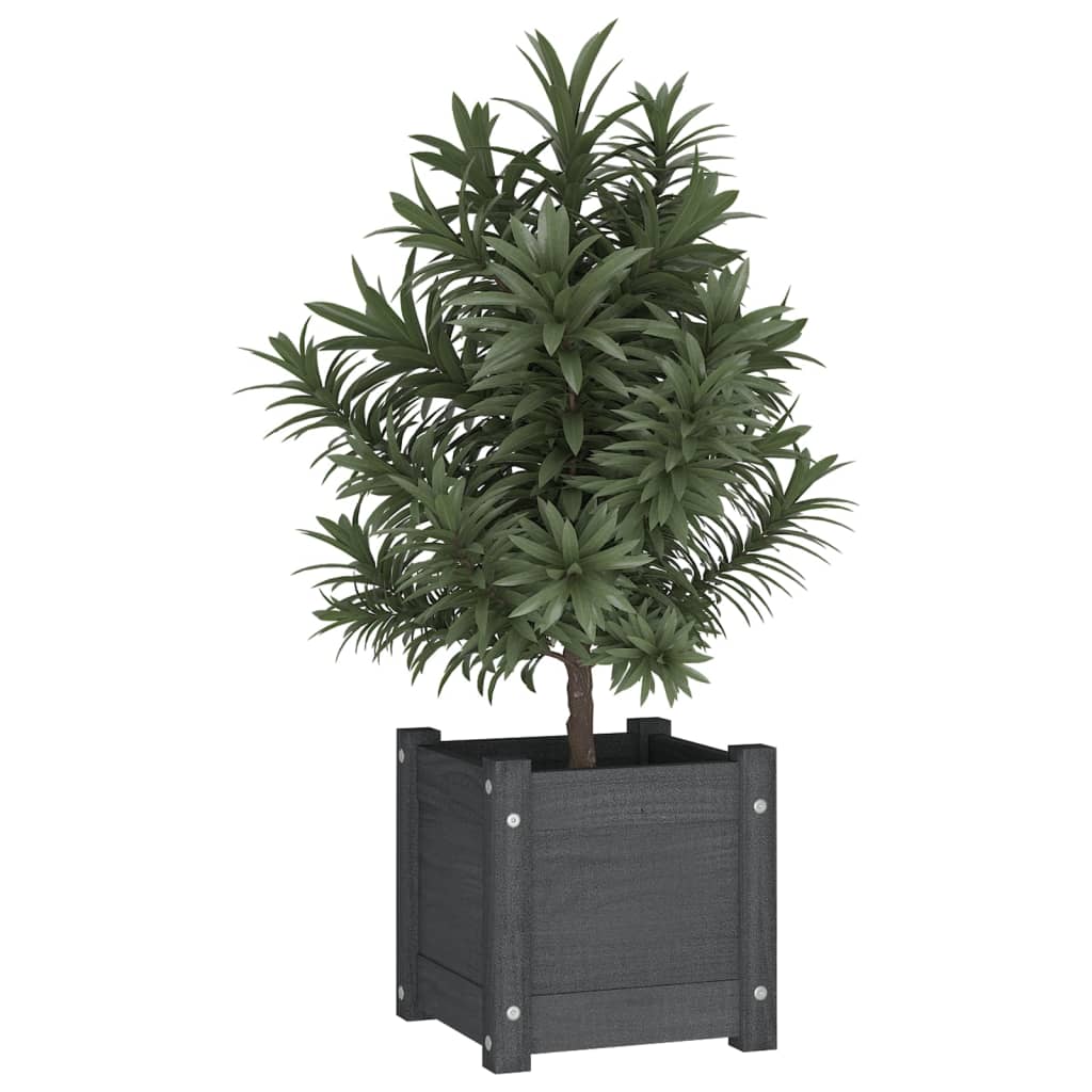 Jardinières vidaxl 2 pcs 31x31x31 cm en pin solide gris