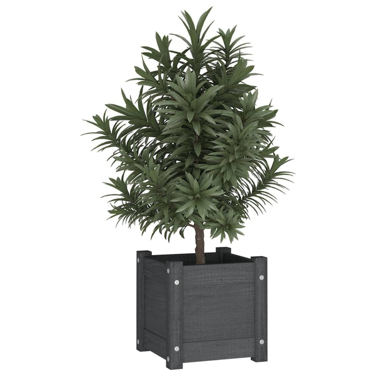 Jardinières vidaxl 2 pcs 31x31x31 cm en pin solide gris