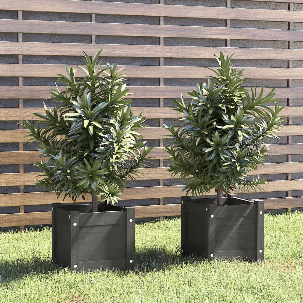 Jardinières vidaxl 2 pcs 31x31x31 cm en pin solide gris