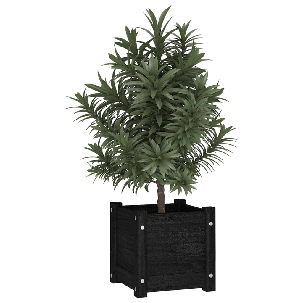 Vidaxl Planning Box 31x31x31 cm Pine solide noir