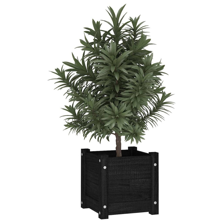 Vidaxl Planning Box 31x31x31 cm Pine solide noir