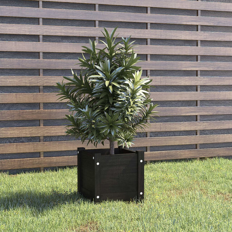 Vidaxl Planning Box 31x31x31 cm Pine solide noir