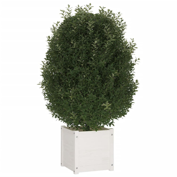 Boîte de planification Vidaxl 40x40x40 cm Pine solide blanc