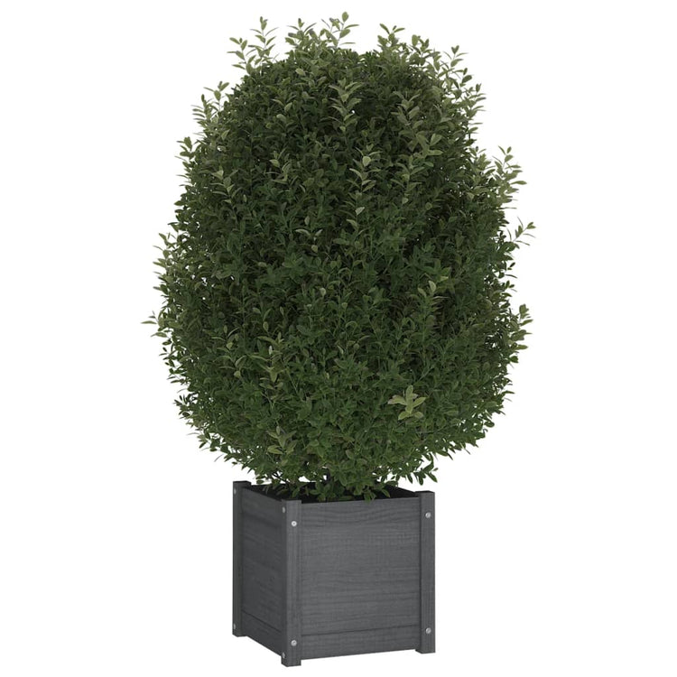 Jardinières vidaxl 2 ST 40x40x40 cm en pin solide gris
