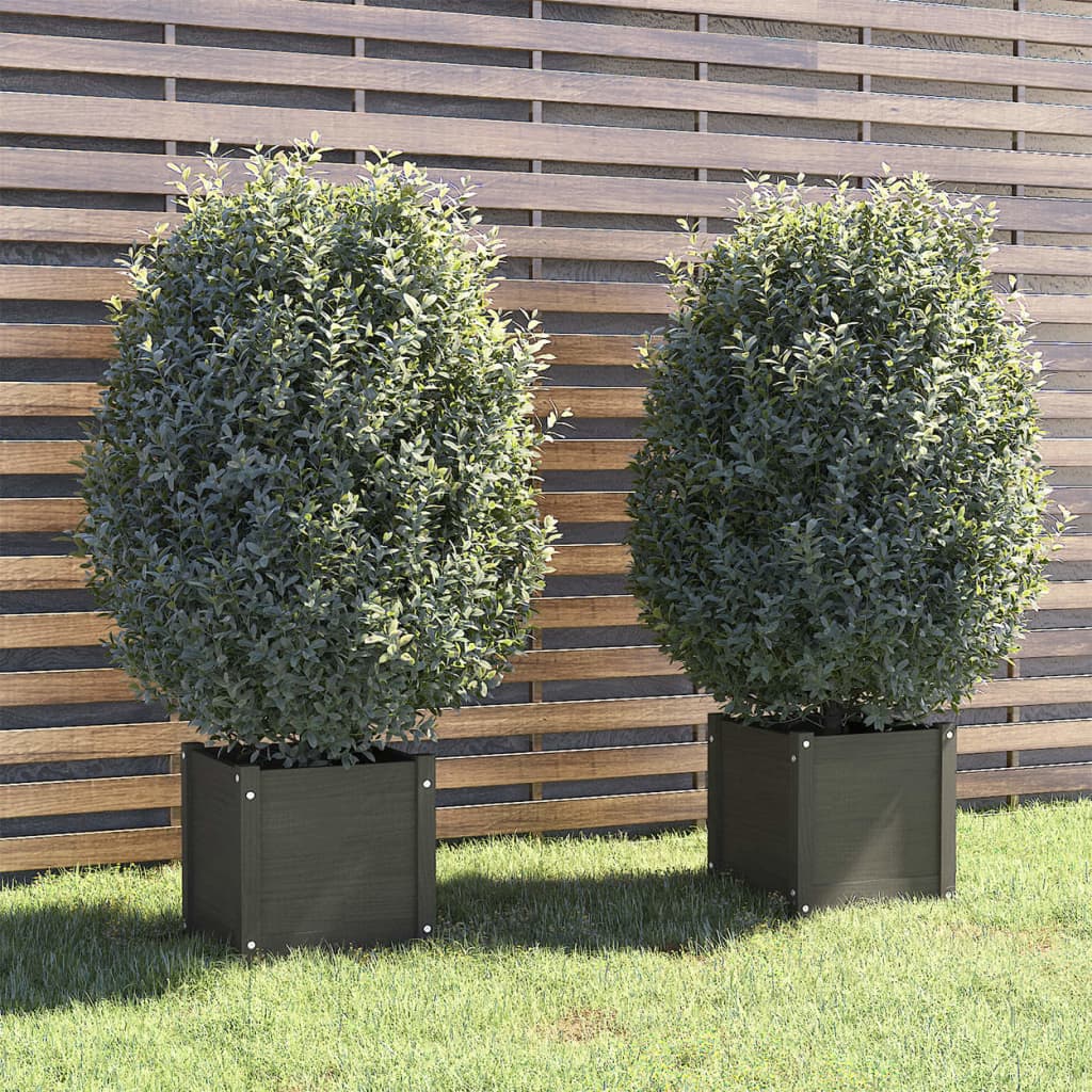 Jardinières vidaxl 2 ST 40x40x40 cm en pin solide gris