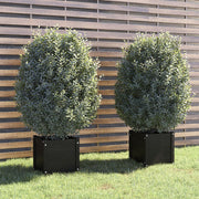 Jardinières vidaxl 2 ST 40x40x40 cm en pin solide noir - afbeelding 1