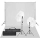 Ensemble de studio photo vidaxl avec ensemble d'éclairage et arrière-plan