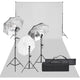 Ensemble de studio photo vidaxl avec ensemble d'éclairage et arrière-plan