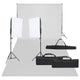 Ensemble de studio photo vidaxl avec ensemble d'éclairage et arrière-plan