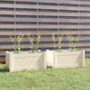 Jardinières vidaxl 2 ST 60x31x31 cm Pine solide blanc