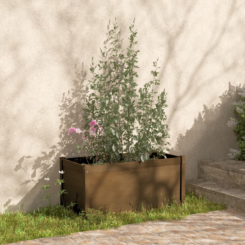 Jardinières vidaxl 2 st 100x50x50 cm