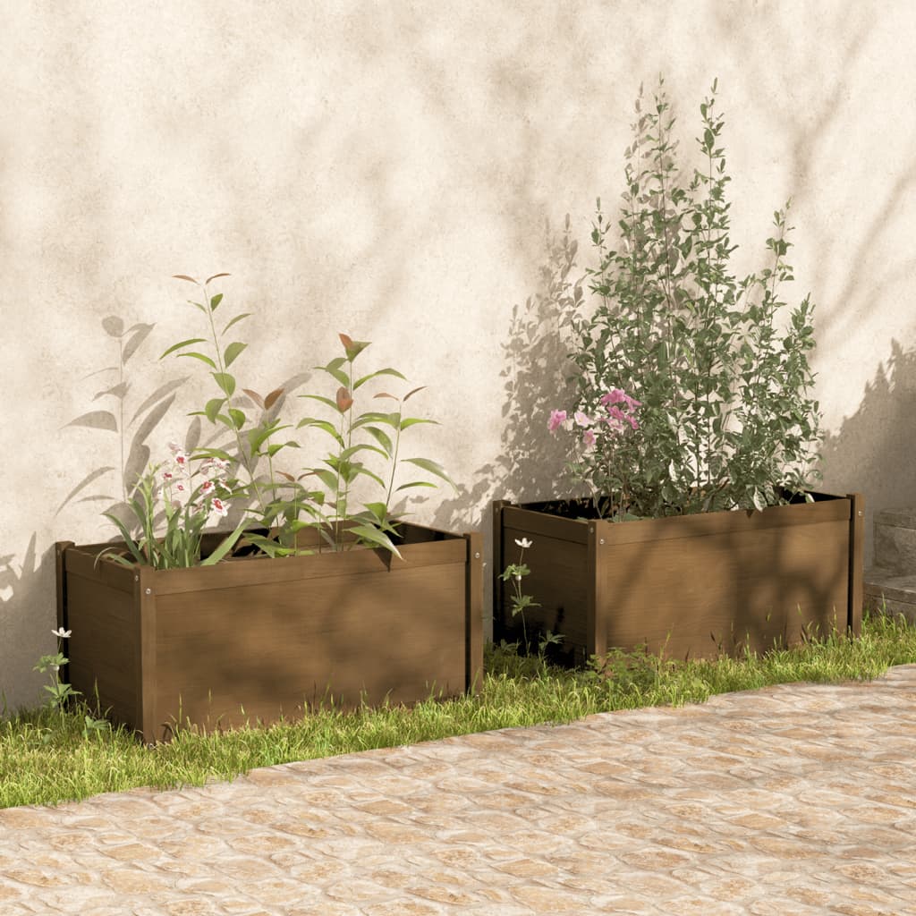 Jardinières vidaxl 2 st 100x50x50 cm