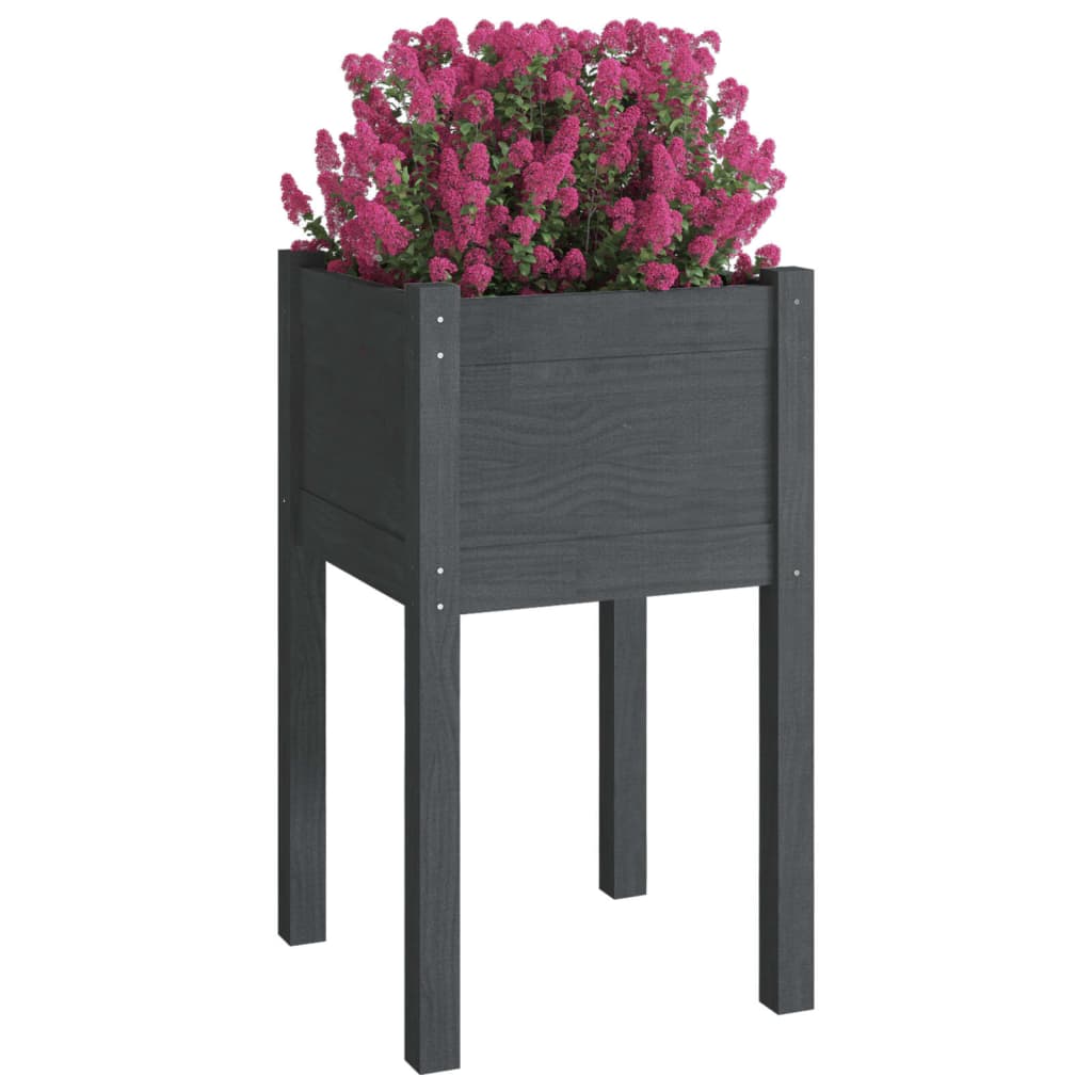 Vidaxl Plators 2 ST 40x40x70 cm Gray de pin solide