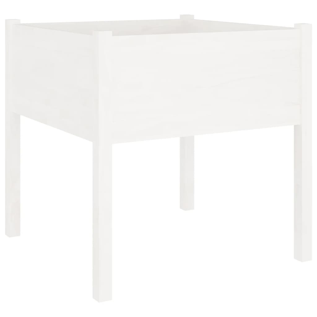 Vidaxl Planning Box 70x70x70 cm Pine solide blanc
