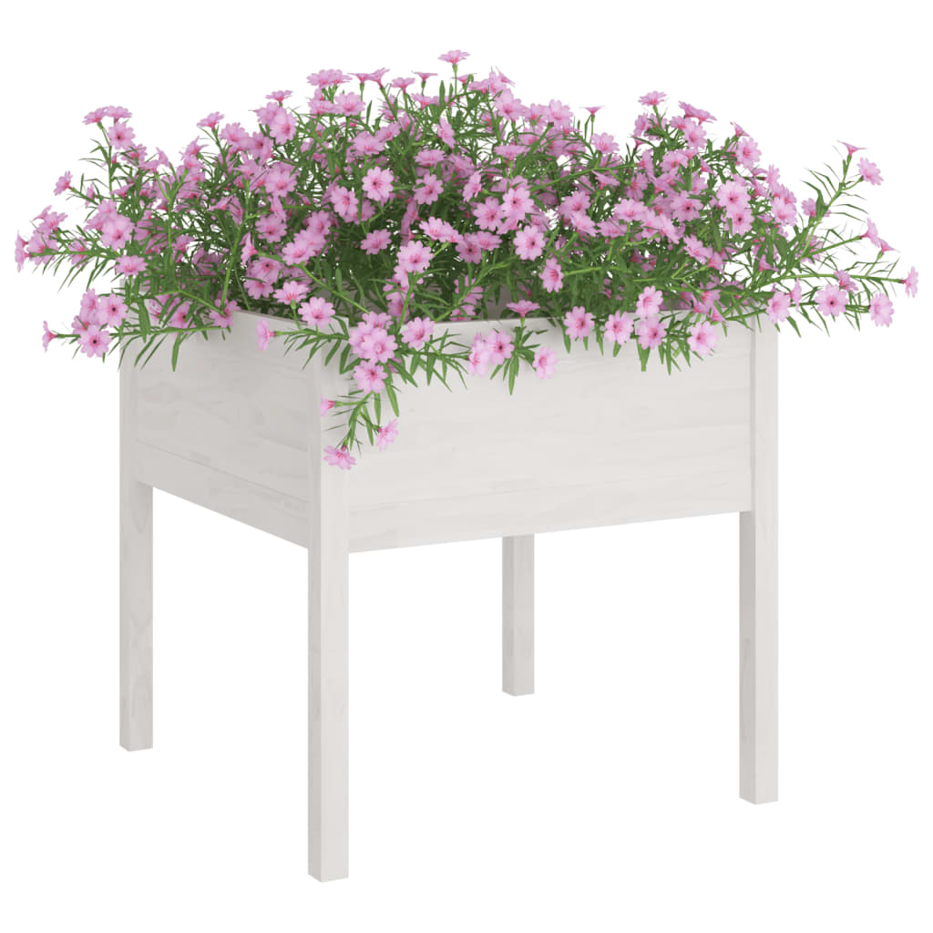 Vidaxl Planning Box 70x70x70 cm Pine solide blanc