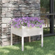 Vidaxl Planning Box 70x70x70 cm Pine solide blanc