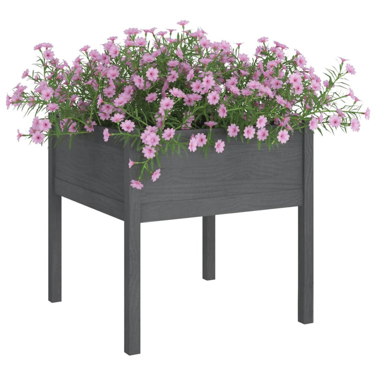 Boîte de planification Vidaxl 70x70x70 cm Gris de pin solide