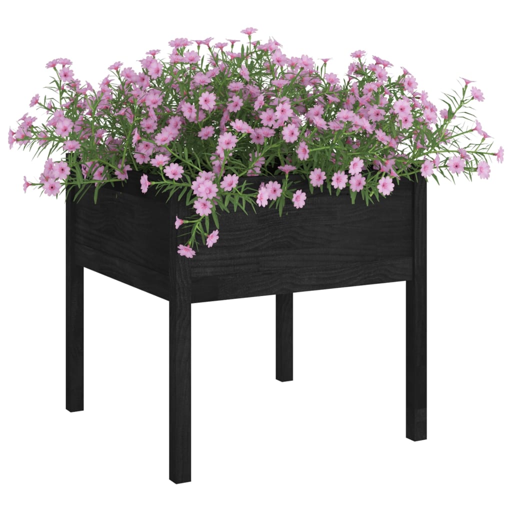Vidaxl Planters 2 ST 70x70x70 cm Pine solide noir