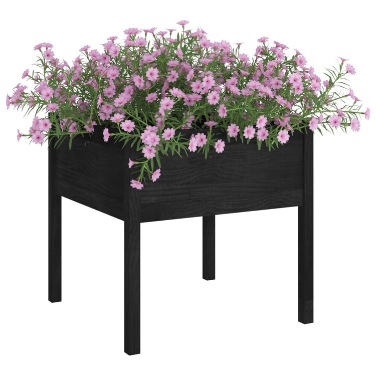 Vidaxl Planters 2 ST 70x70x70 cm Pine solide noir