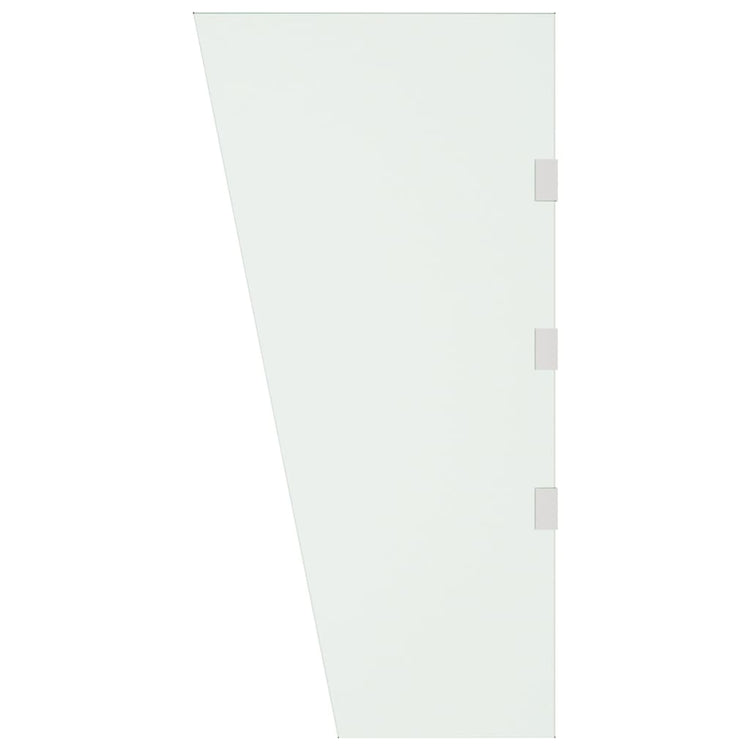 Panneau latéral Vidaxl pour la verrière de porte 50x100 cm Verre durci transparent
