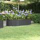 Vidaxl Planter 152x80x36 cm en poudre et en acier recouvert d'anthracite -colored