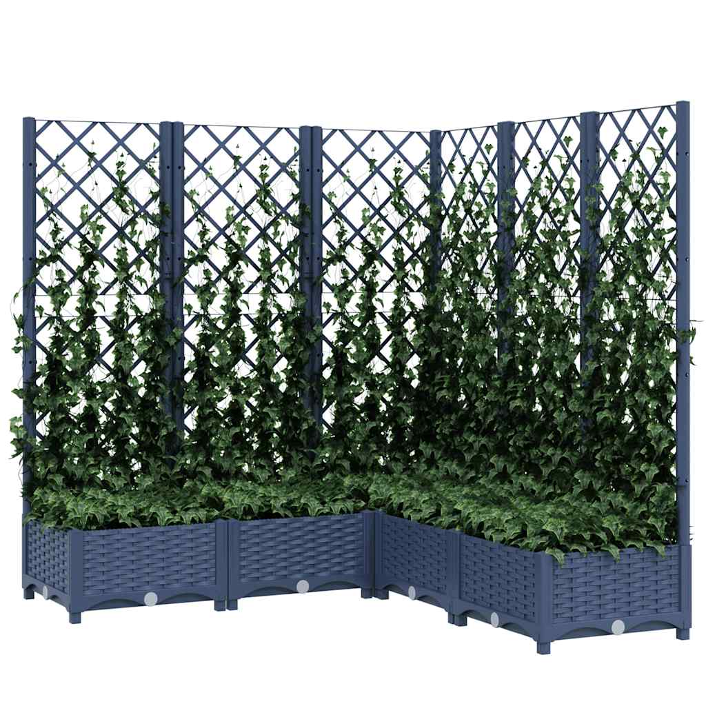 Vidaxl Planning Boîte avec scolarisé 120x120x121.5 cm Gris foncé en polypropène