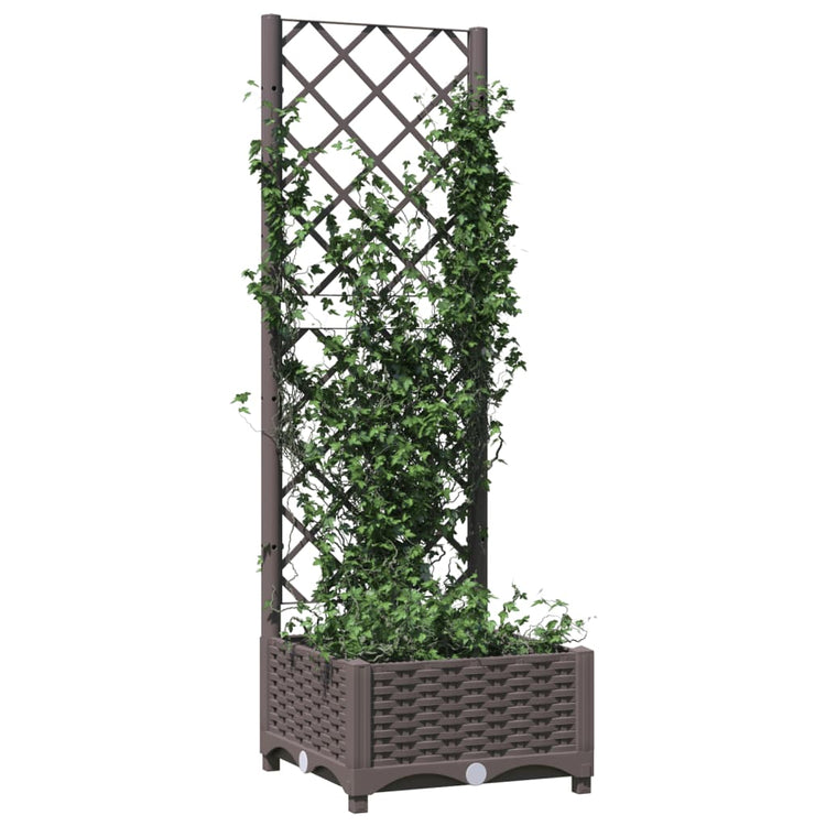Vidaxl Plannet avec scolarisé 40x40x121,5 cm Brun polypropène