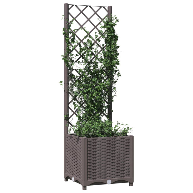 Vidaxl Plannet avec scolarisé 40x40x136 cm Brown en polypropène