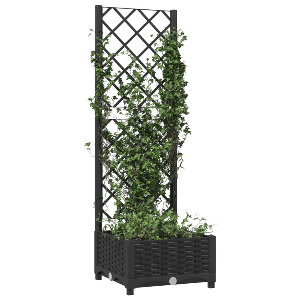 Vidaxl Plannet avec scolaris