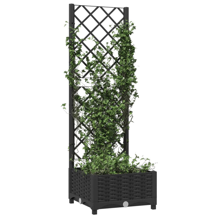 Vidaxl Plannet avec scolaris