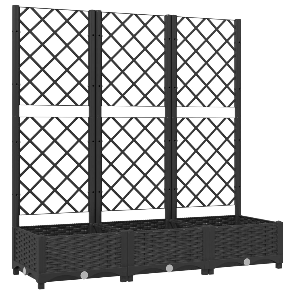 Vidaxl Planning Boîte avec scolarisé 120x40x121,5 cm Black en polypropène