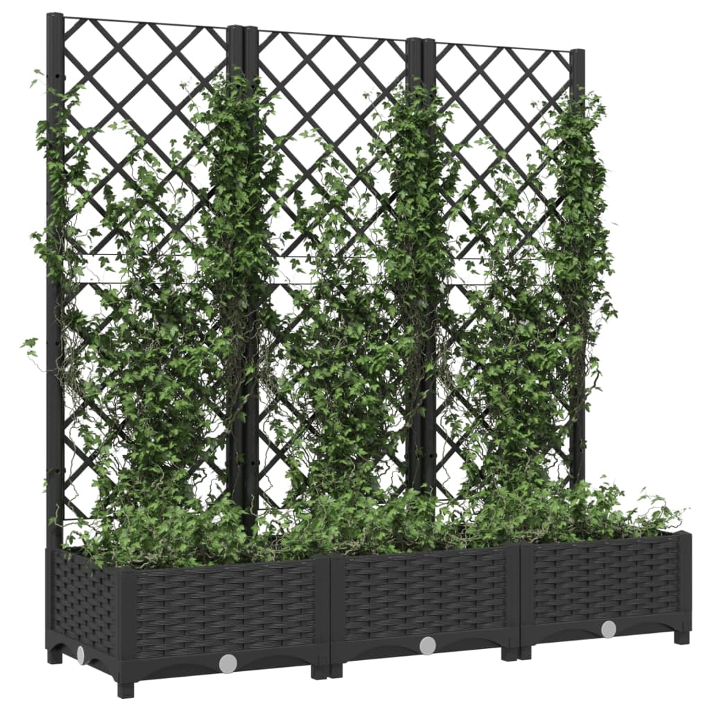 Vidaxl Planning Boîte avec scolarisé 120x40x121,5 cm Black en polypropène
