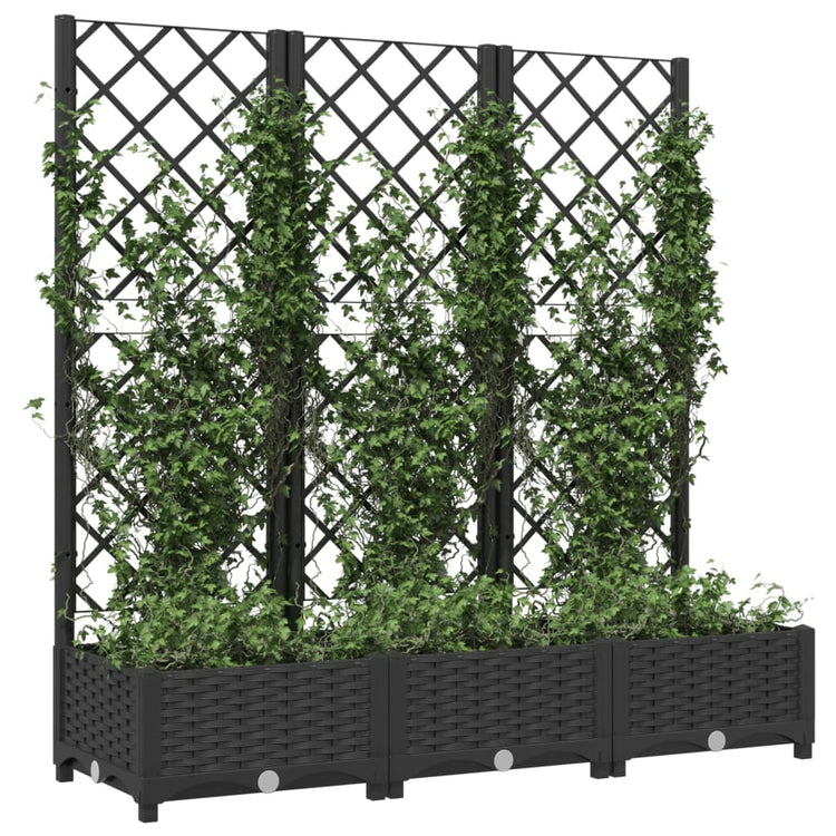 Vidaxl Planning Boîte avec scolarisé 120x40x121,5 cm Black en polypropène