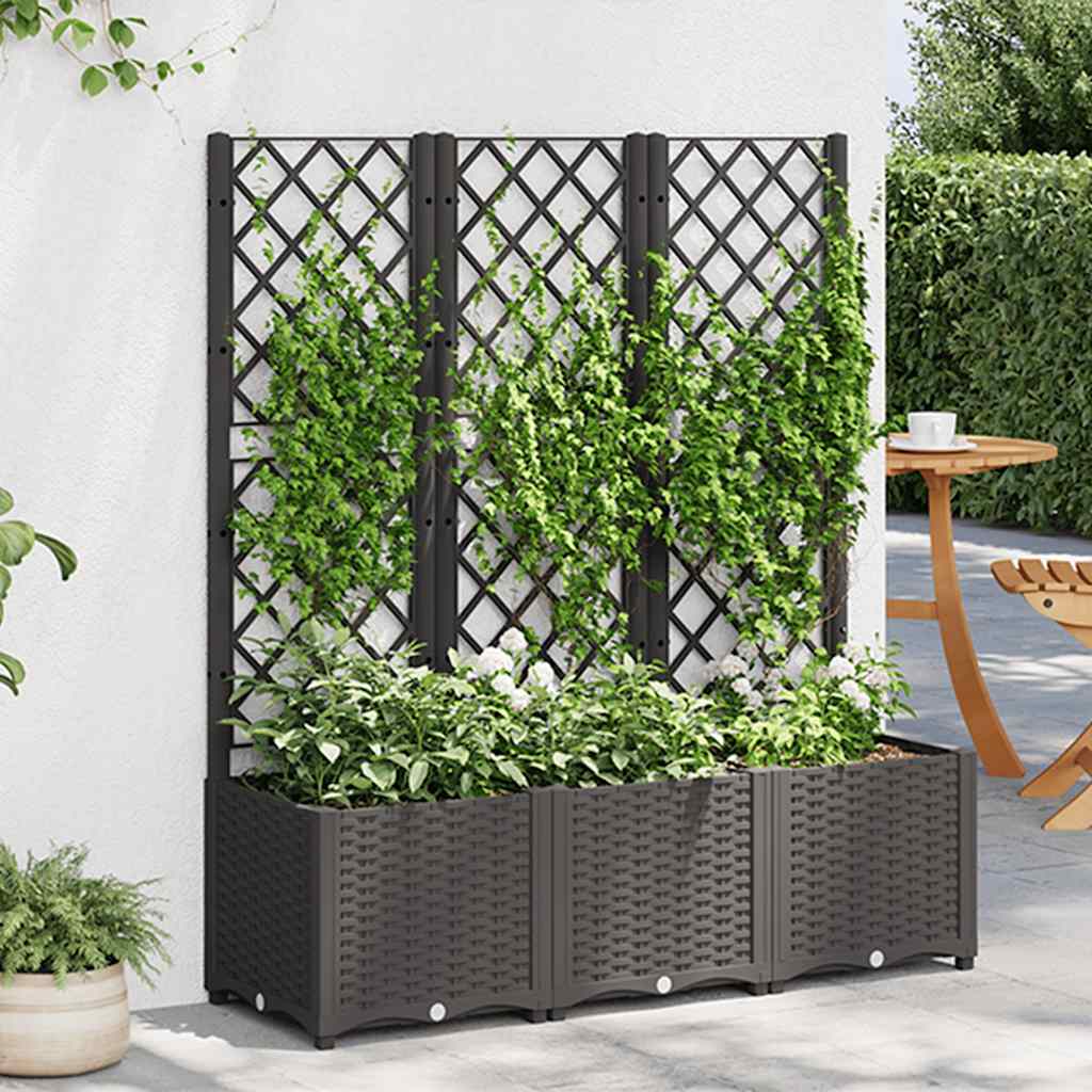 Vidaxl Plannet avec scolaris