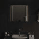 Miroir de salle de bain Vidaxx LED 50x50 cm
