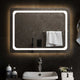 Miroir de salle de bain Vidaxl LED 80x60 cm