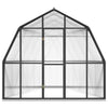 Vidaxl Greenhouse avec cadre de base 9,53 m² Aluminium anthracite -colored