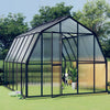Vidaxl Greenhouse avec cadre de base 9,53 m² Aluminium anthracite -colored