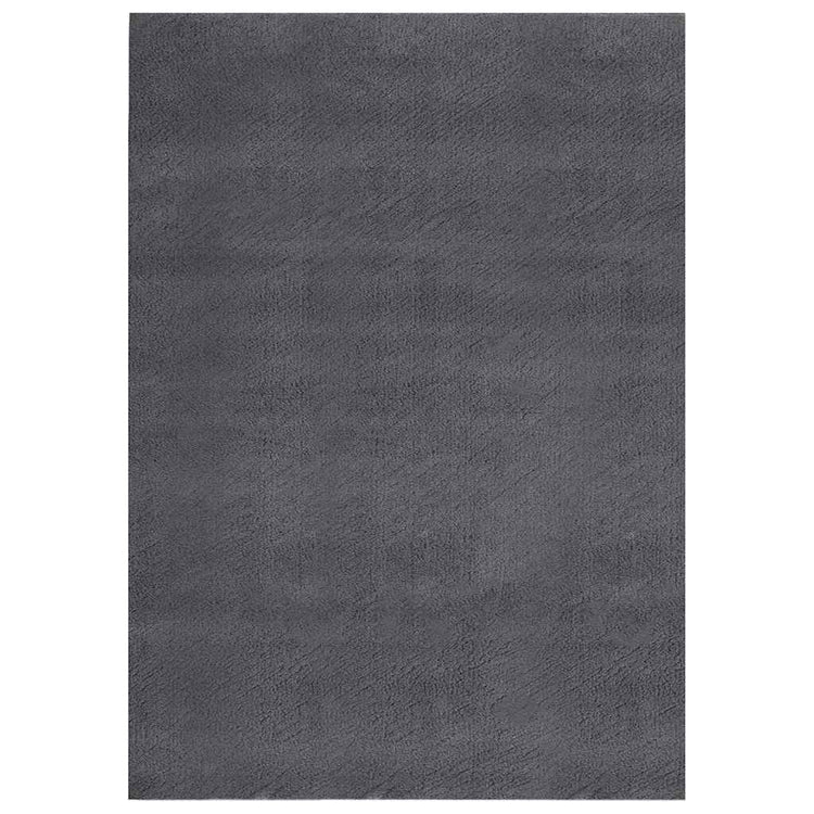 Tapis vidaxl lavable à pôle court antidérapant 160x230 cm anthracite