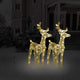 Vidaxl Christmas Animals 2 St 80 LEDS acrylique blanc chaud