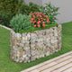 Vidaxl Gabion Planter surélevé 120x50x50 cm de fer galvanisé