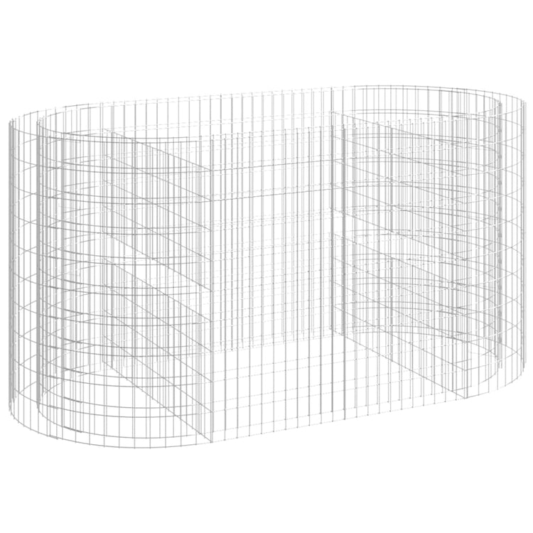 Vidaxl Gabion Planter a augmenté le fer galvanisé de 200x100x100 cm