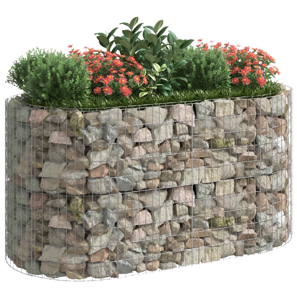 Vidaxl Gabion Planter a augmenté le fer galvanisé de 200x100x100 cm