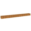 Vidaxl Planter augmenté 580x50x36 cm Cortenstaal