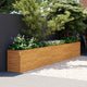 Vidaxl Planter a augmenté 482x50x69 cm Cortenstaal