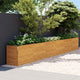 Vidaxl Planter a augmenté 578x50x69 cm Cortenstaal