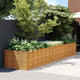 VidaXL jardinière surélevée 479x100x69 cm acier corten