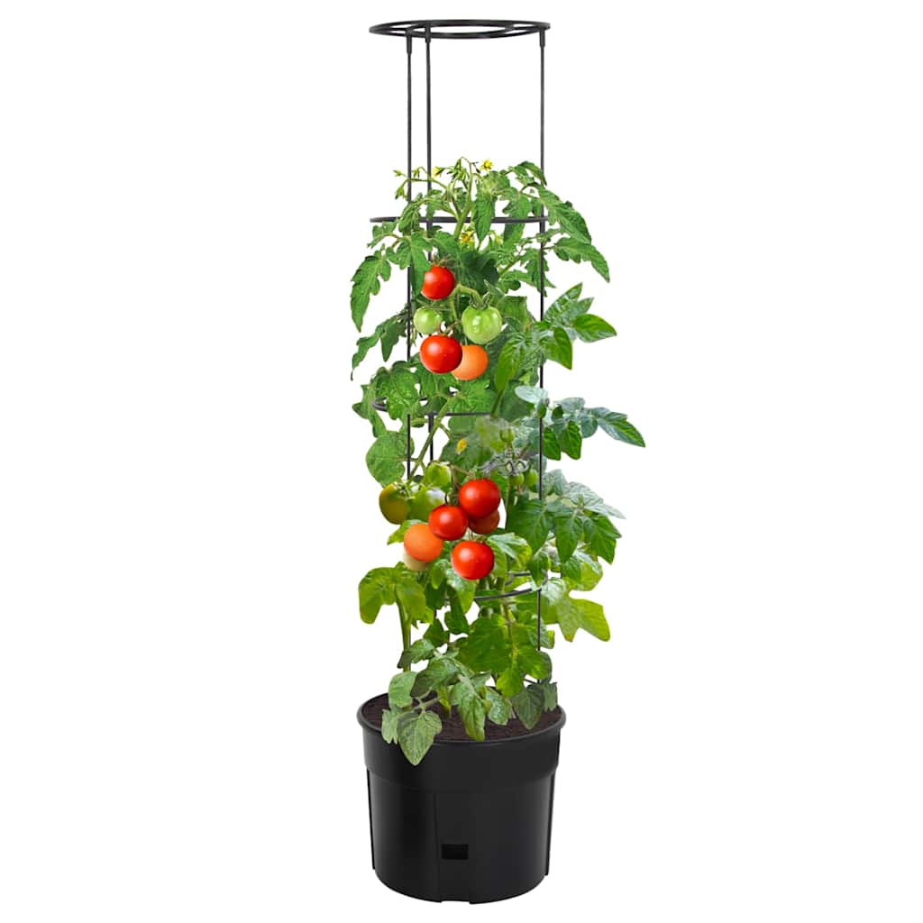 Culture de tomate Vidaxl Ø39x150 cm Anthracite en polypropène -colore